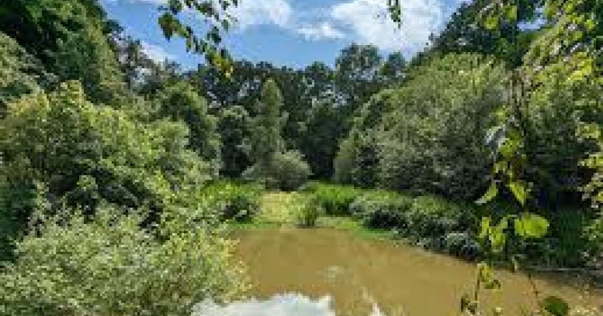 London Countryway Ashley Green to Kings Langley Ramblers